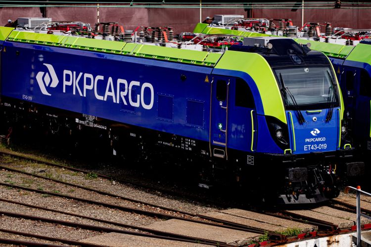 La situazione attuale di PKP Cargo in breve: Sfide finanziarie, cambiamenti di gestione, pressioni del mercato