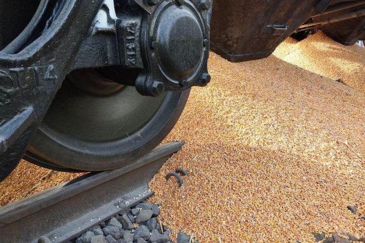 Polonia: La protesta degli agricoltori provoca la fuoriuscita di grano ucraino dal treno merci