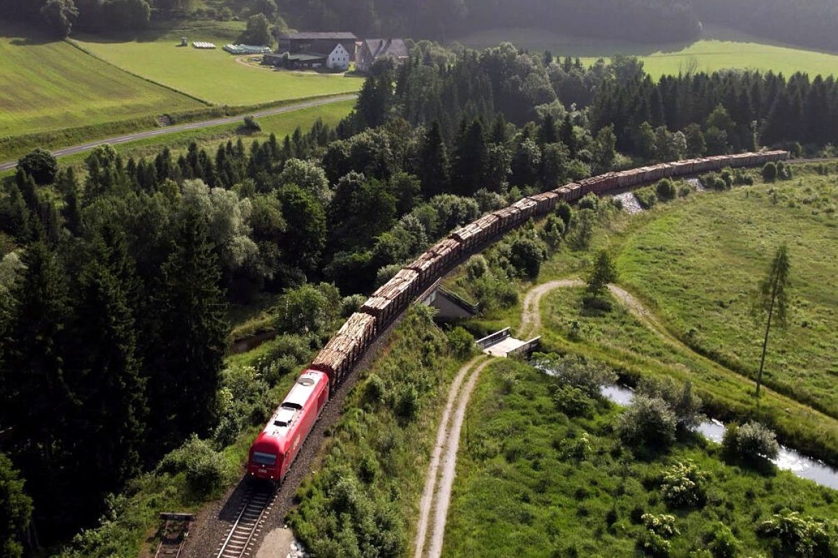 Rail Cargo Group 2024 yılında Papierholz Avusturya için 1,4 milyon ton odun taşıdı
