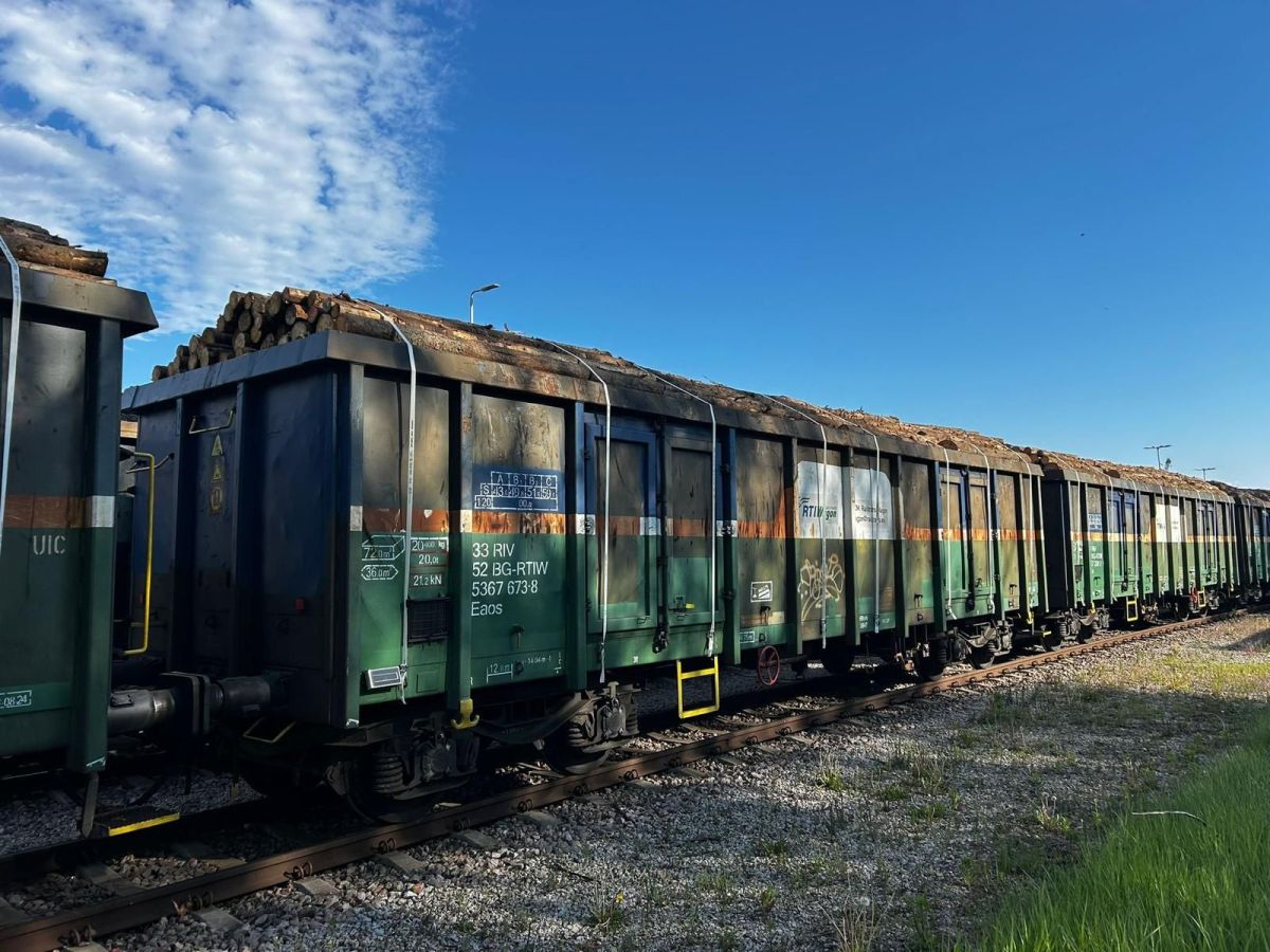 Railtrans International resumes timber rail flows from Gdańsk to Romania