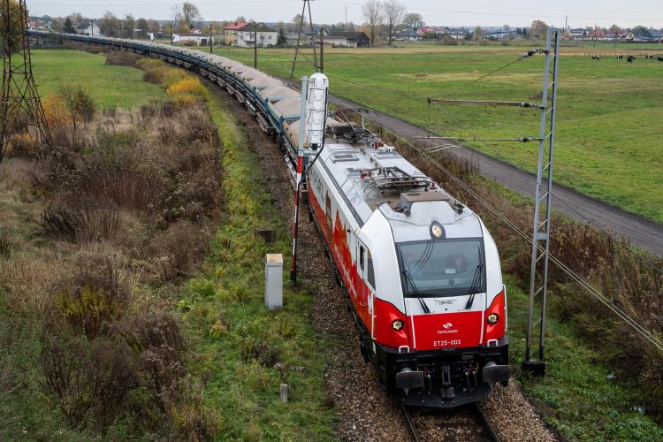 PKP PLK dotará a PKP Cargo de infraestructuras por 683,6 millones de zlotys (145,6 millones de euros)