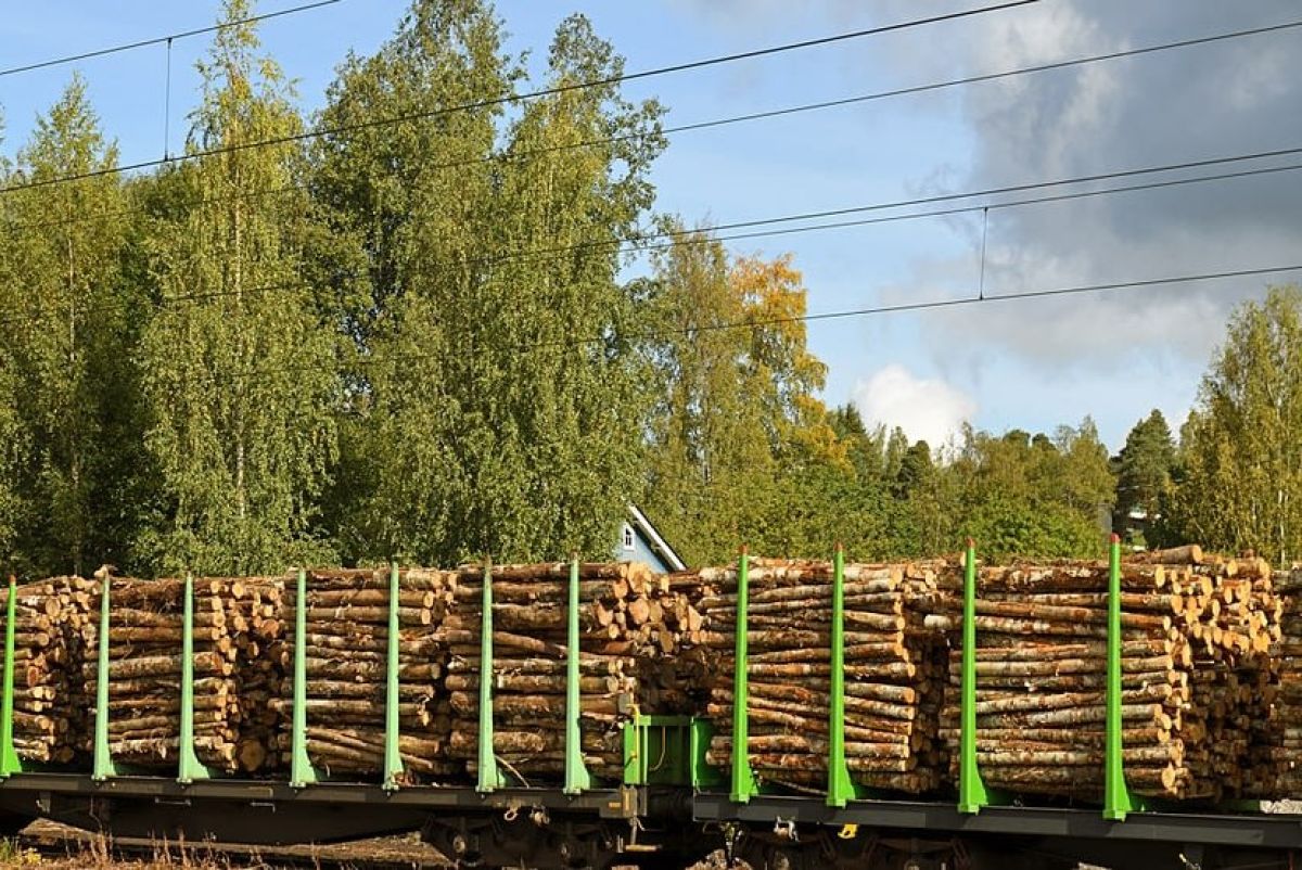 Die Verlagerung von Holz auf die Schiene könnte die Emissionen der finnischen Forstlogistik um die Hälfte reduzieren, so eine Studie