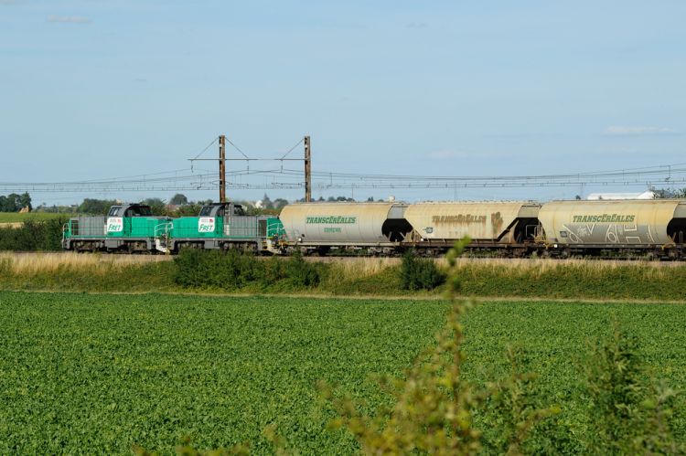 SNCF Réseau ve Intercéréales demiryolu ile tahıl taşımacılığını desteklemek için beş yıllık bir anlaşma imzaladı