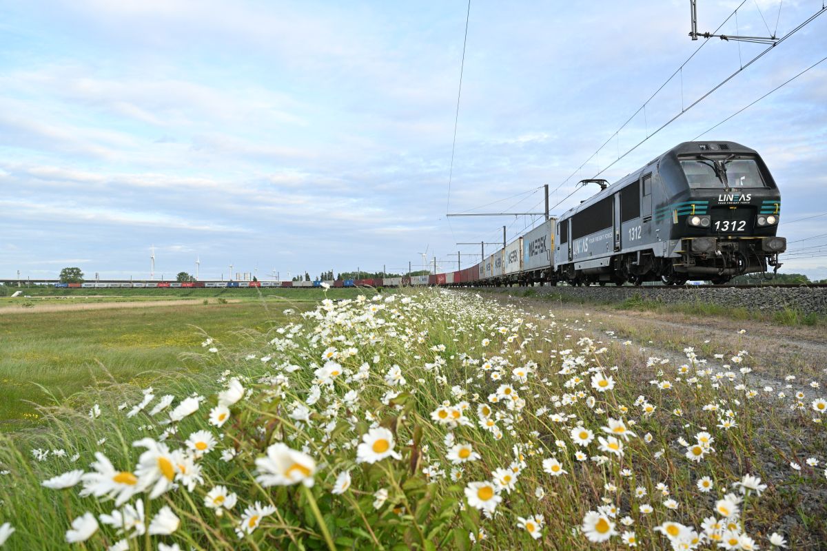 Rail link between Zeebrugge and Antwerp restored with new regular service operated by Lineas