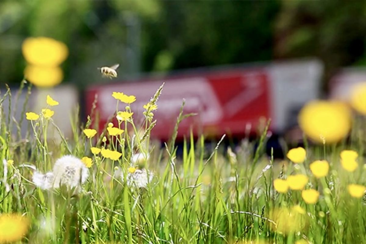 Kombiverkehr adds 24-hour emissions data