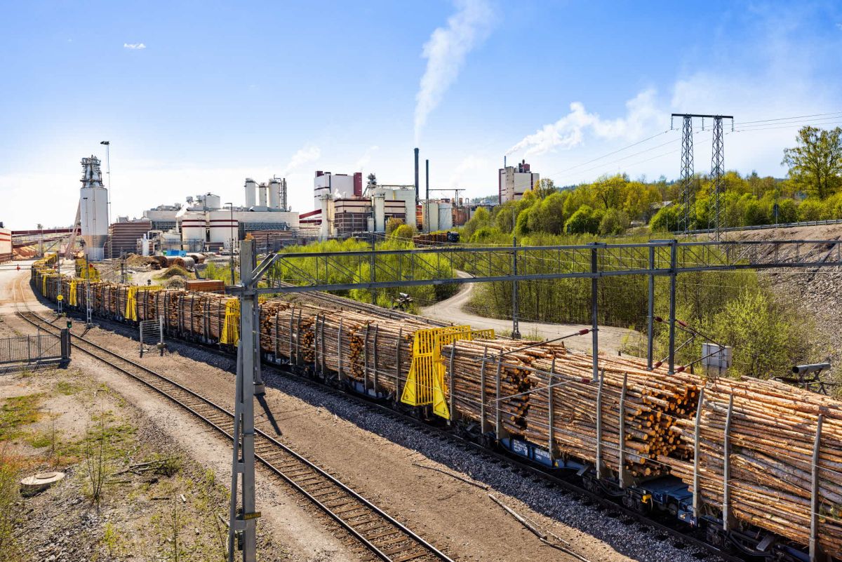 SCA Skog transports record volume of timber by rail in 2025