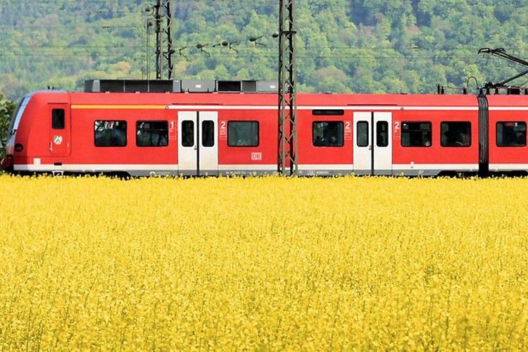 Sólo 9 euros para todo un mes viajando por Alemania