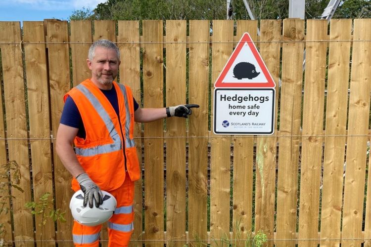 Network Rail protege a los erizos: plan de "autopista" para ellos en las vías de la zona sur de Glasgow