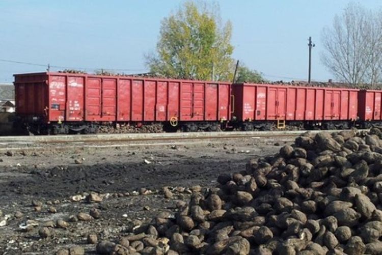 Rail Cargo Hungaria: campagna di trasporto delle barbabietole da zucchero nel 2024 con quasi il 50% su rotaia