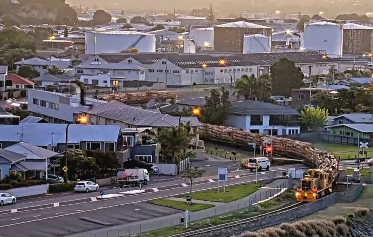 Trenul zilnic de bușteni KiwiRail către portul Napier înlocuiește transportul rutier în Noua Zeelandă