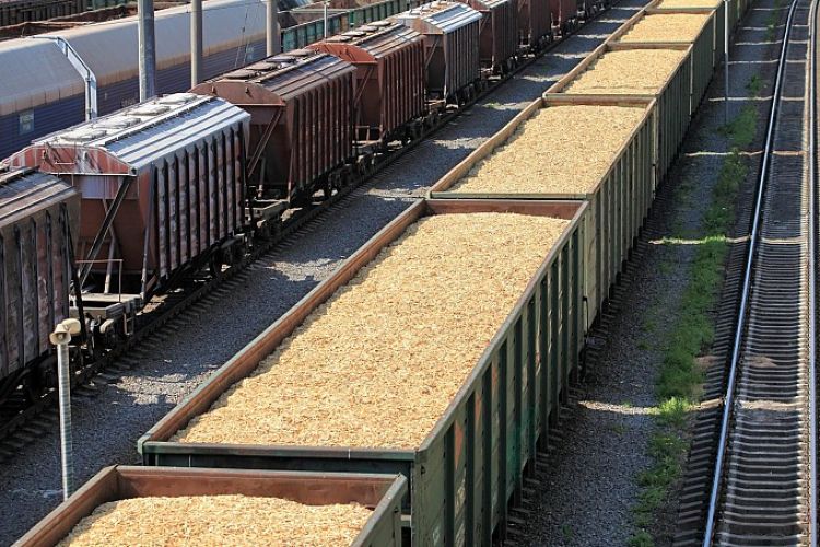 Kazakhstan: Akmola region to export 1.7 million tonnes of grain by rail in 2024