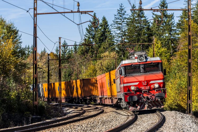 Ruch kolejowy na linii Lublana-Divača-Koper napotyka na znaczne zakłócenia z powodu prac infrastrukturalnych i warunków pogodowych.