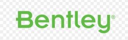 Bentley Systems International Limited logo