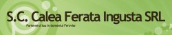 S.C. Calea Ferata Ingusta SRL logo